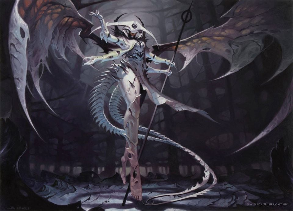 picture of atraxa
