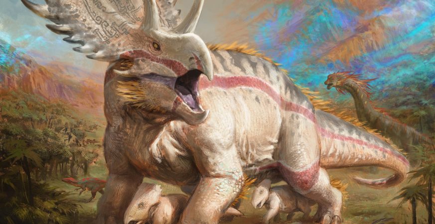 PDH Ghalta, card artwork, Ghalta the Immovable, Walls, pauper commander, mtg, magic the gathering, commander, edh